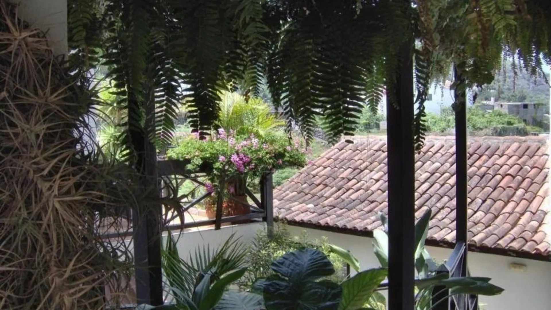 Studio Fuer 1 Personen Ca 15 M In Icod De Los Vinos, Teneriffa Nordkueste Von Teneriffa Apartamento